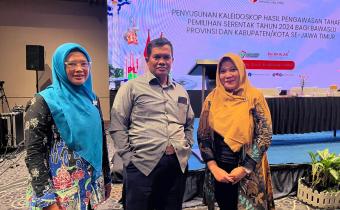 Penyusunan Kaleidoskop Hasil Pengawasan